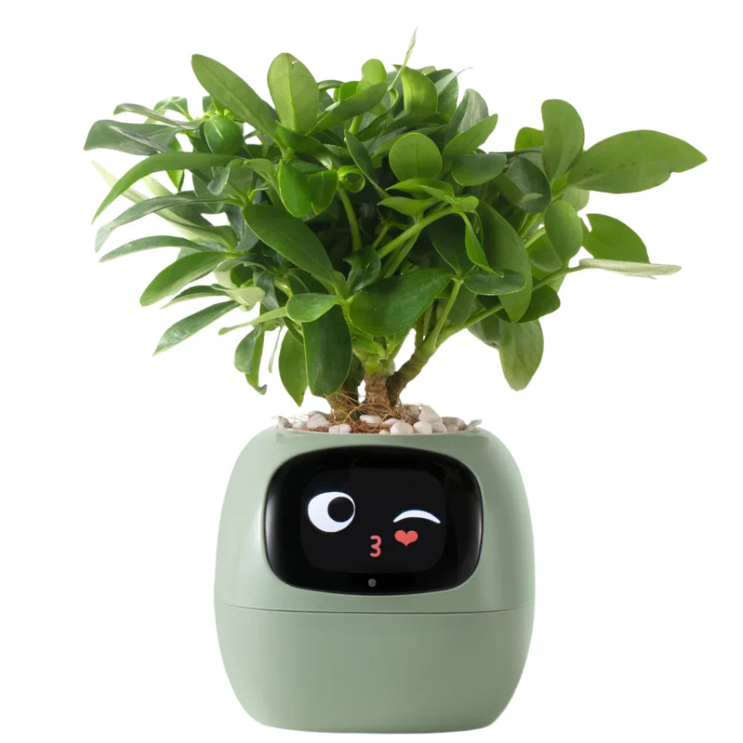Smart Self-Watering Planter for Indoor Plants