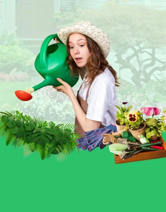 Watering & Plant Care