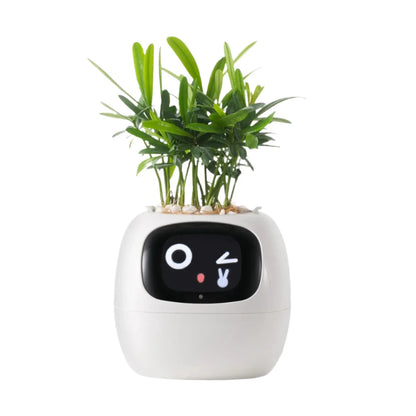Smart Self-Watering Planter for Indoor Plants