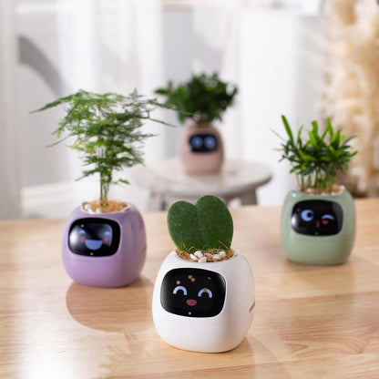 Smart Self-Watering Planter for Indoor Plants