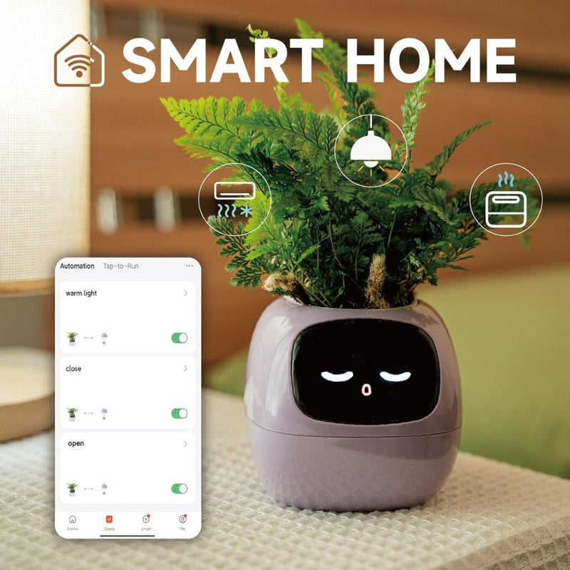 Smart Self-Watering Planter for Indoor Plants