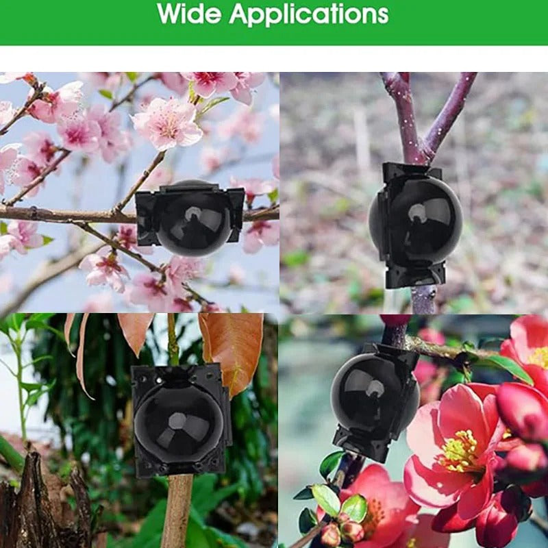 Plant Propagation Balls – Root Growing Cloner Pods