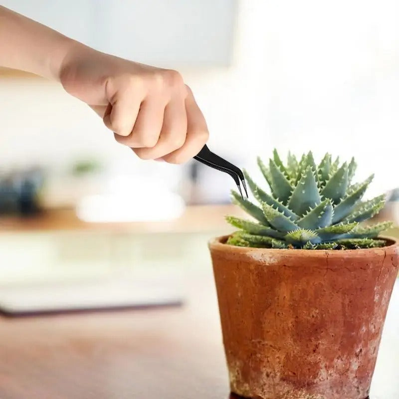 Succulent Planter Kit