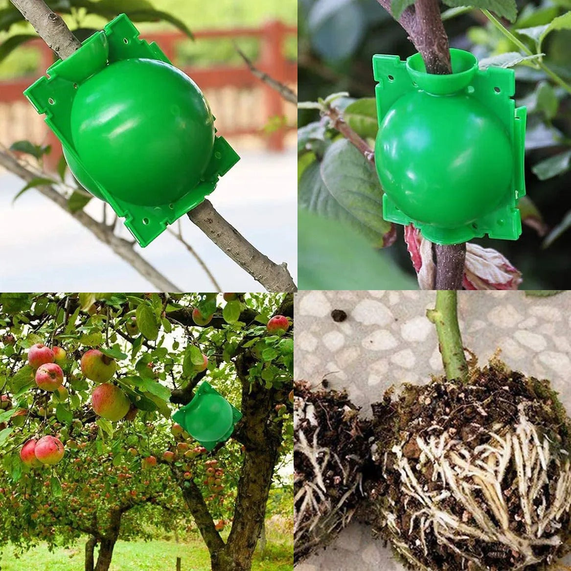 Plant Propagation Balls – Root Growing Cloner Pods