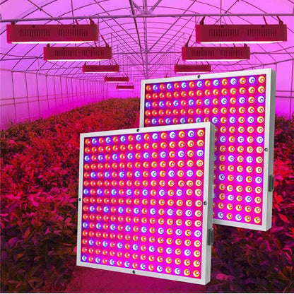 Panel LED Grow Lamp for Indoor Plants