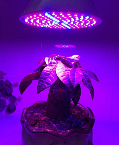 Full Spectrum LED Plant Grow Light