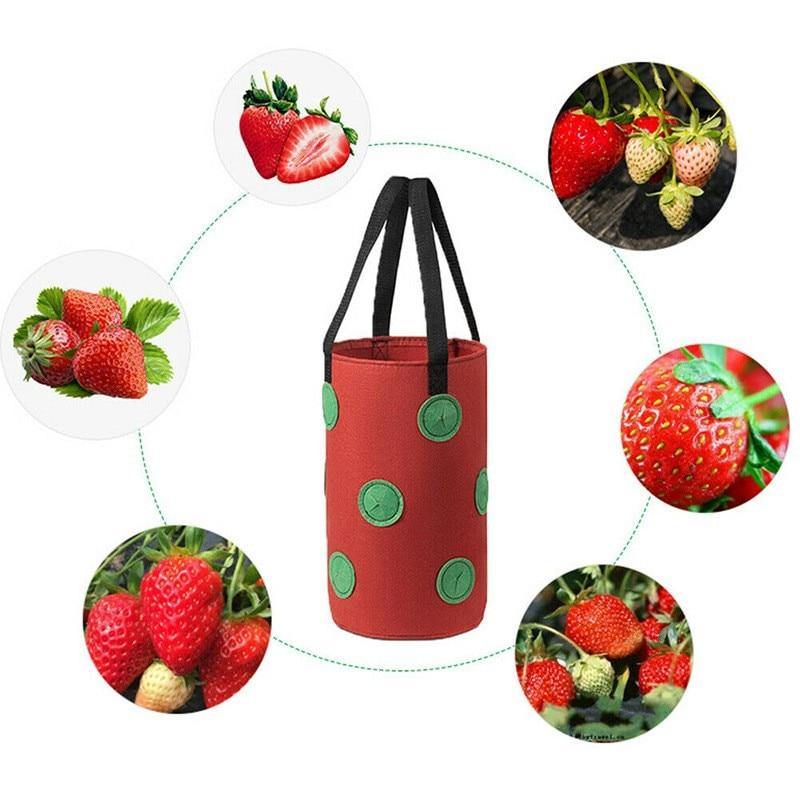 Strawberry Vertical Grow Bags (3 Pack)