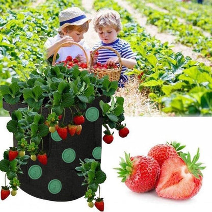 Strawberry Vertical Grow Bags (3 Pack)